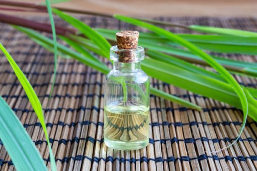 Citronella essential oil