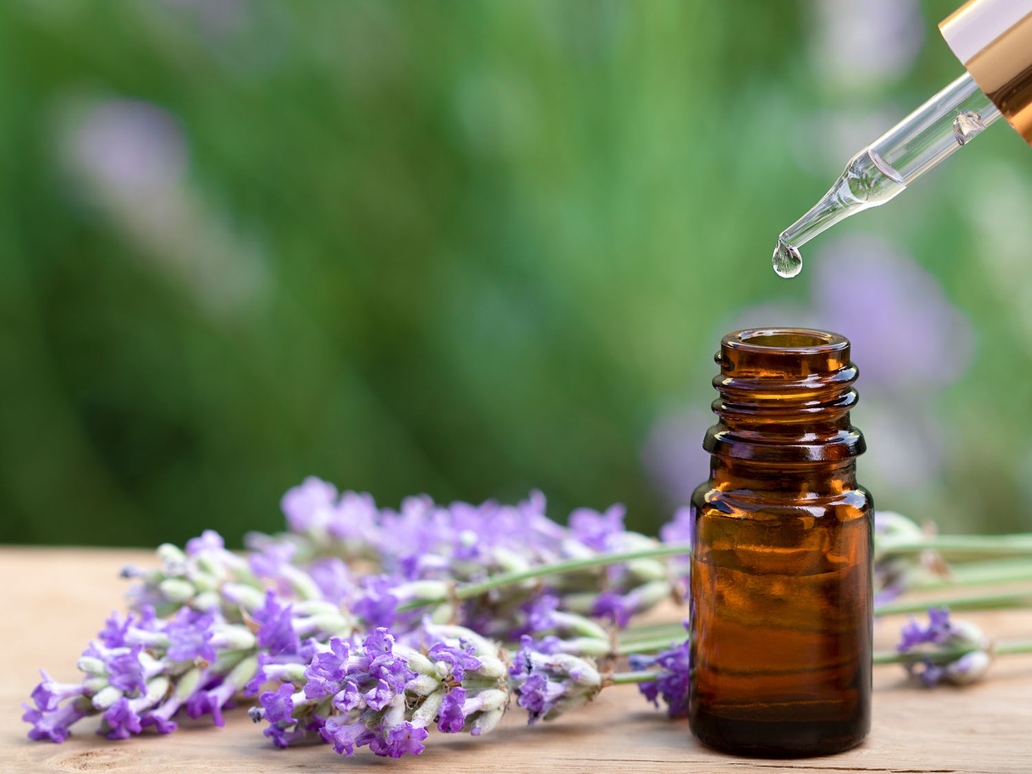Lavender Essential Oil