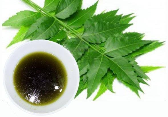 Neem seed Oil (Cold pressed )