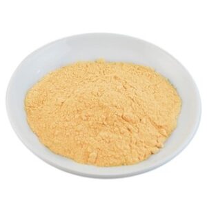 Papaya Extract Powder