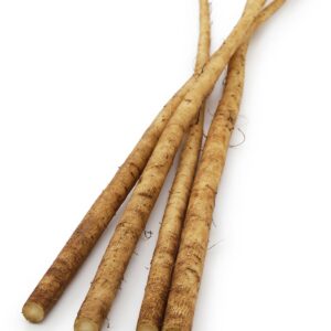 Burdock root