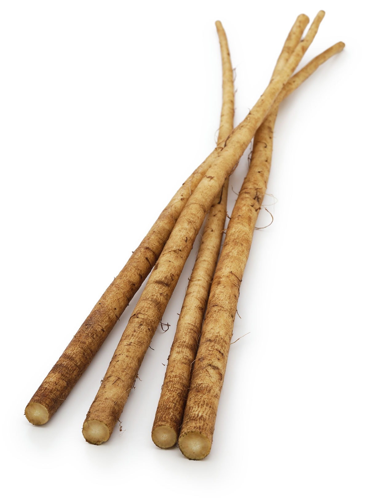 Burdock root