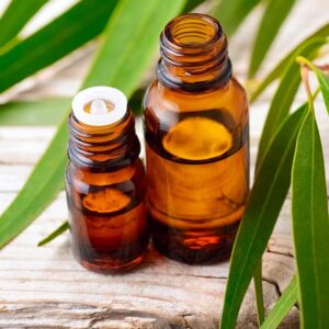 Eucalyptus Essential Oil