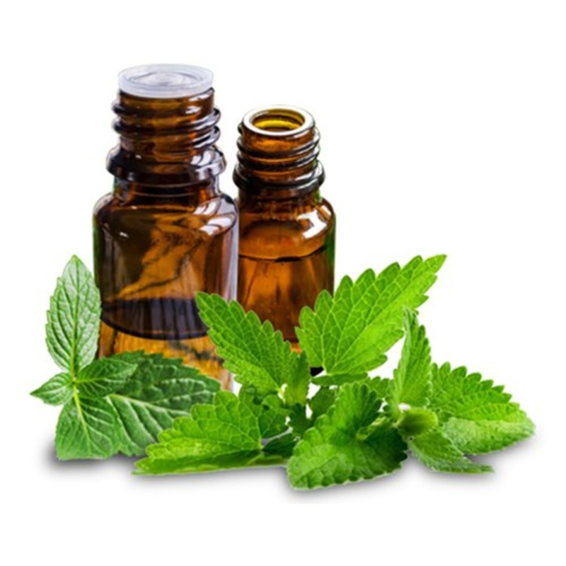 Peppermint Essential Oil
