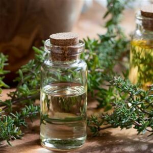 White Thyme Essential Oil