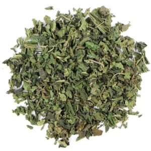 Stinging Nettle
