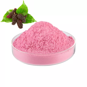 Beaberry fruit powder(pink)