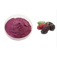 Mulberry extract powder (purple)