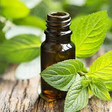 Peppermint carrier oil