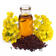 Mustard seeds oil